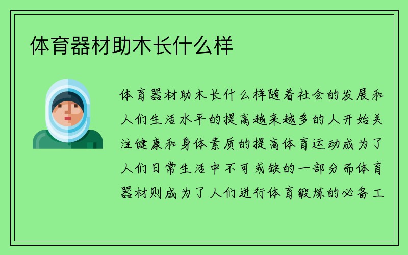 体育器材助木长什么样