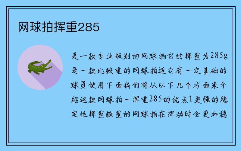 网球拍挥重285