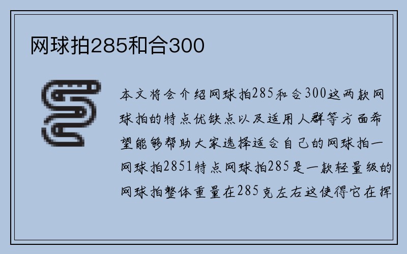 网球拍285和合300