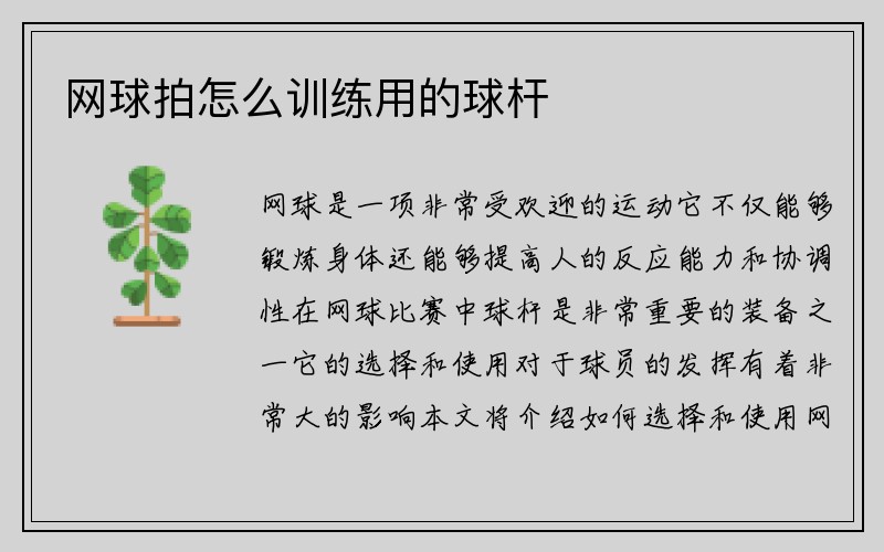 网球拍怎么训练用的球杆