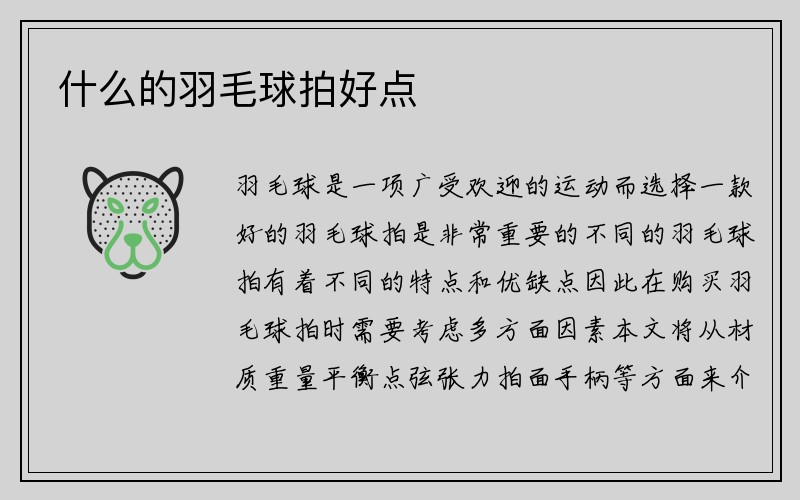 什么的羽毛球拍好点